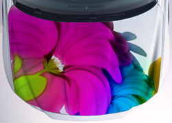 Винилография Фантастические цветы для светлых машин