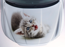 Винилография Играющий котенок для светлых машин