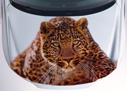 Винилография Друг леопарда для светлых машин