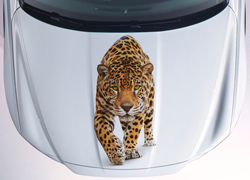 Винилография Леопард в полный рост для светлых машин