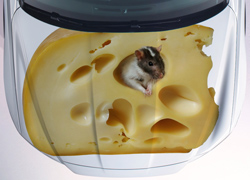 Винилография Мышка в сыре для светлых машин