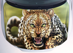 Винилография Леопард в гневе для светлых машин