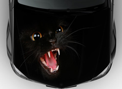 Винилография на авто черный кот