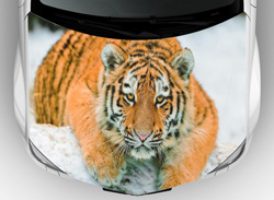 Винилография на авто фото тигра