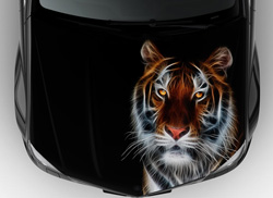 Винилография на авто саблезубый тигр