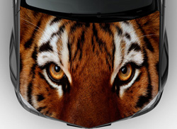 Винилография на авто глаза тигра