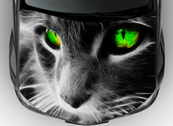 Винилография на авто кошка с зелеными глазами
