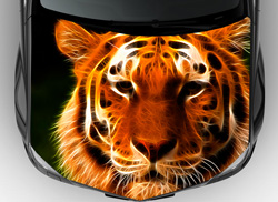 Винилография на авто рисунок тигра