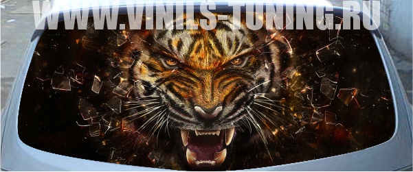 Тонировка с рисунком Тигр из стекла